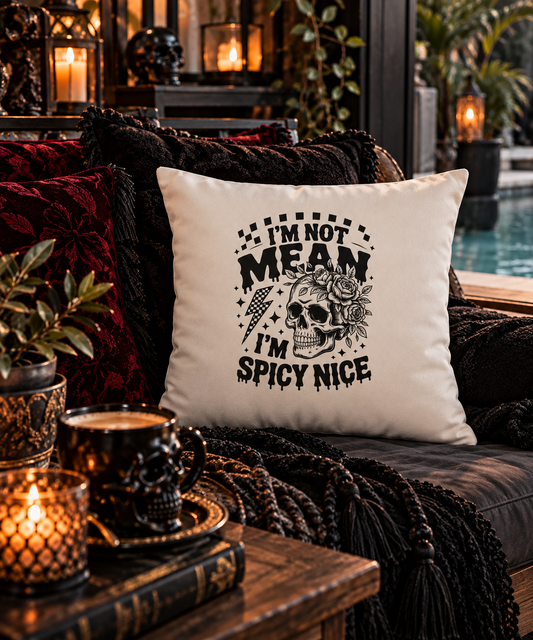 I’m Not Mean, I’m Spicy Nice Cushion